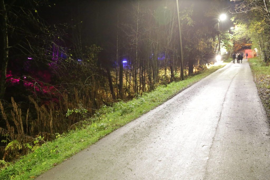 Opplyst gangvei med belysning i skogterreng på begge sider