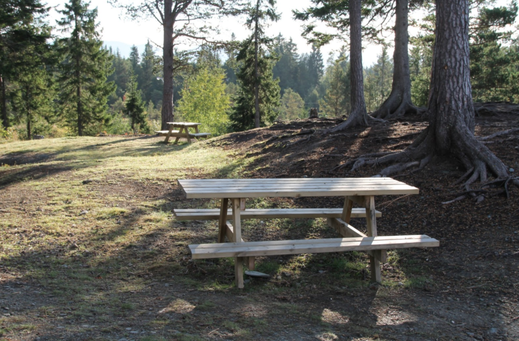 Nysnekra bord og benker i skogsområde i sol